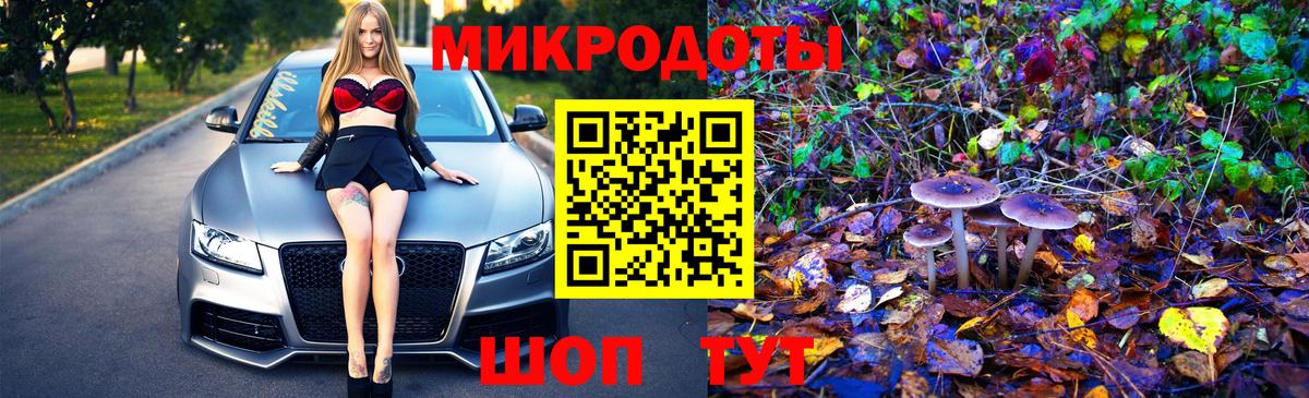 Карачаевск  Галлюциногенные грибы Psilocybine cubensis  Псилоцибиновые грибы мицелий  Вход с VPN 